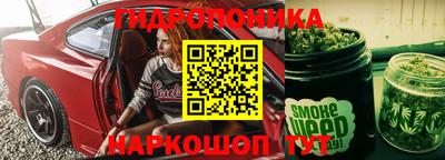 apvp Краснознаменск