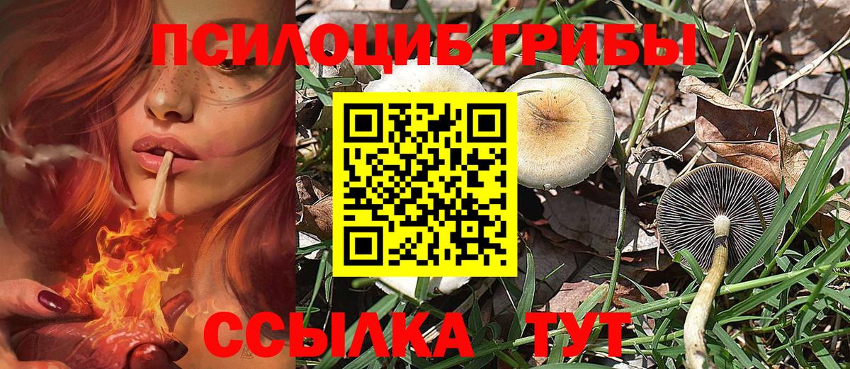 Псилоцибиновые грибы мухоморы Кемерово